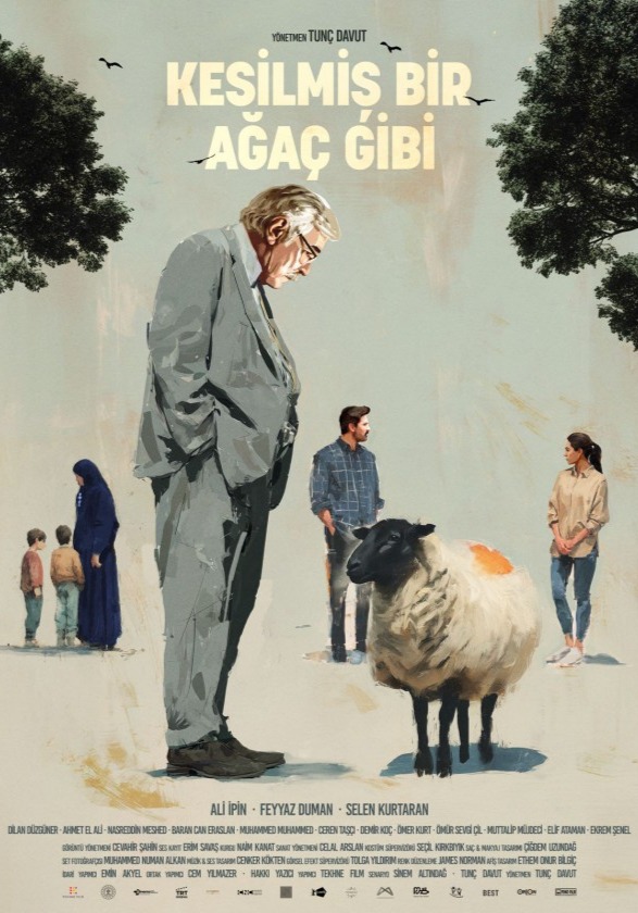 Kesilmiş Bir Ağaç Gibi